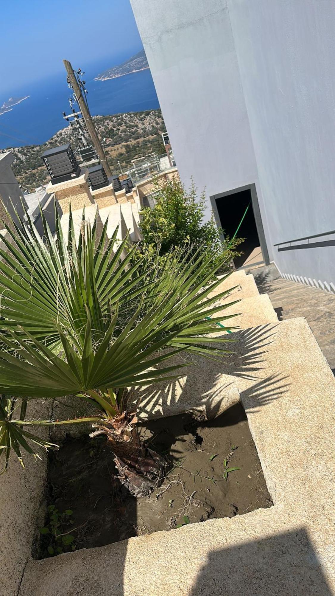Kalkan Villa Beauty Honeymoon 卡斯 外观 照片